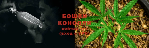 MESCALINE Покачи